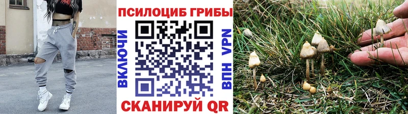 Псилоцибиновые грибы MAGIC MUSHROOMS  Бологое 